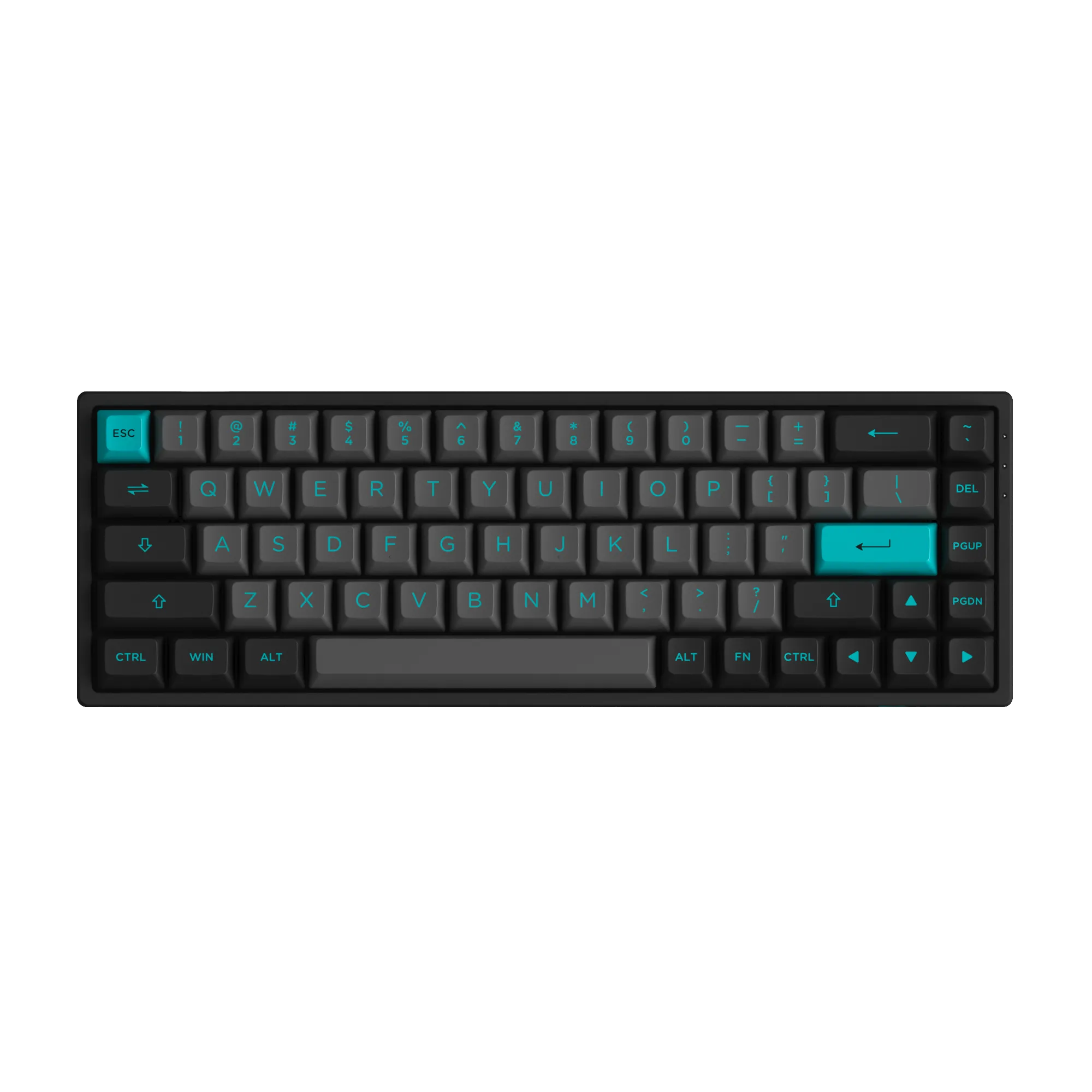 Black & Cyan 3068B Plus