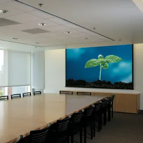 Draper Rolleramic Electric Projection Screen [Custom]