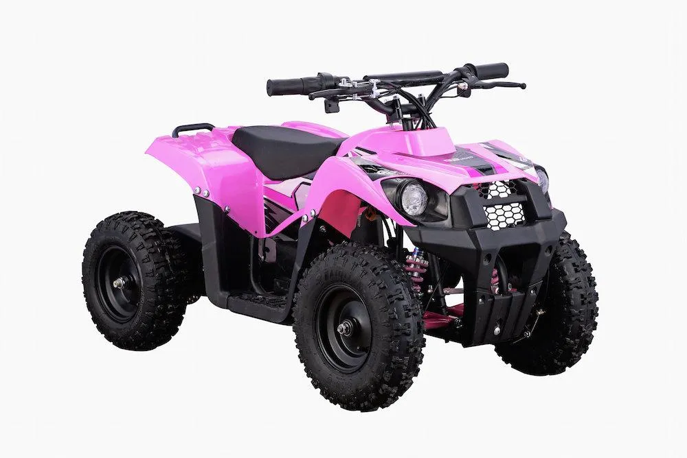 Go-Bowen Monster 36V12AH Kids 500w Electric ATV