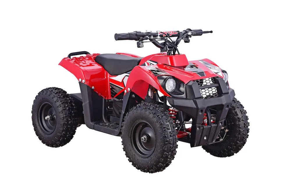 Go-Bowen Monster 36V12AH Kids 500w Electric ATV