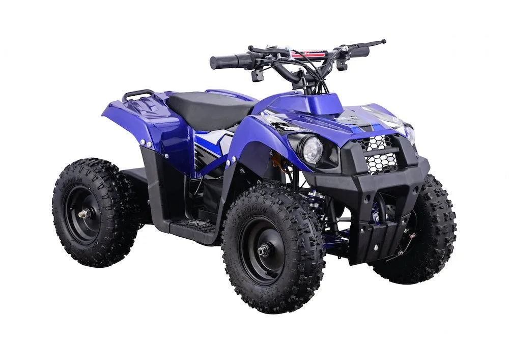 Go-Bowen Monster 36V12AH Kids 500w Electric ATV