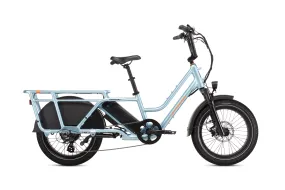 RadWagon™ 5 Electric Cargo Bike