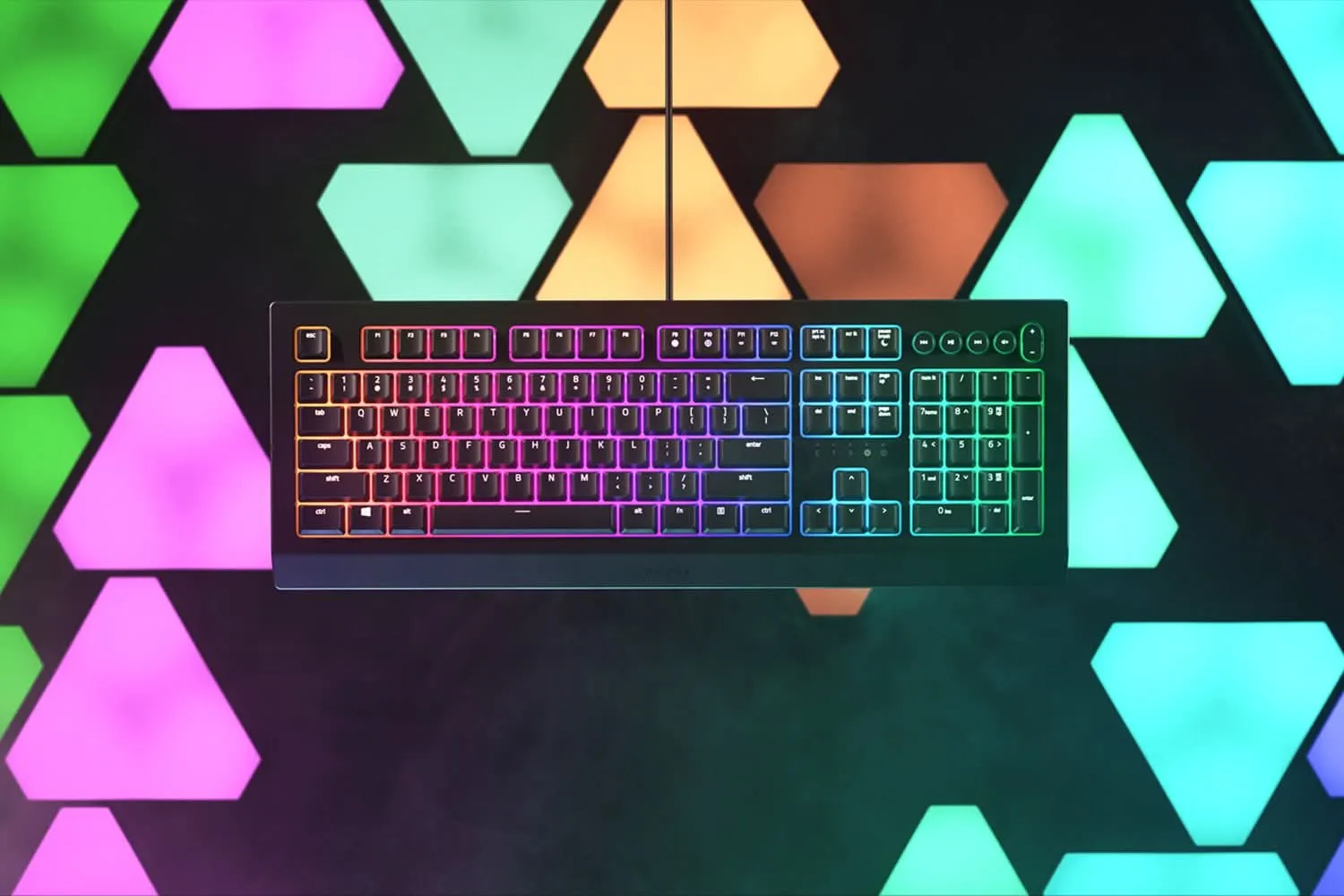 RAZER CYNOSA V2 CHROMA GAMING KEYBOARD