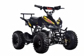 TomRide Electric ATV Quad VTT 500 Watts 24 Volts TR240