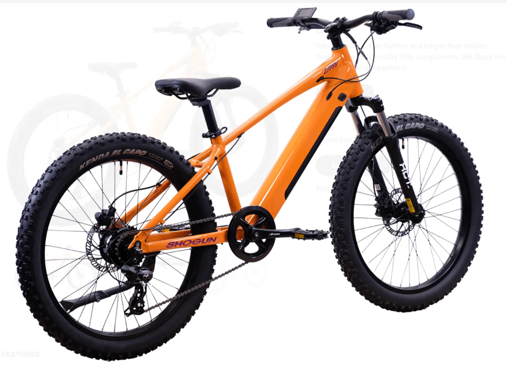 Zippy Kids Electric MTB